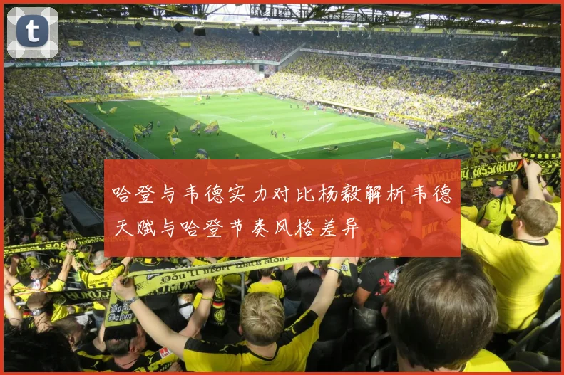 哈登与韦德实力对比杨毅解析韦德天赋与哈登节奏风格差异